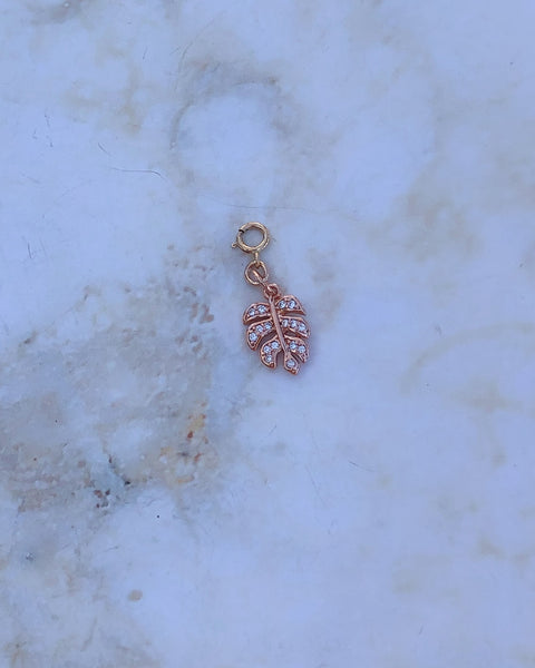 Rose Gold Charms with Spring Clasp